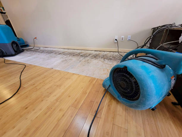 Professional Structural Drying technician working in Haskell, OK